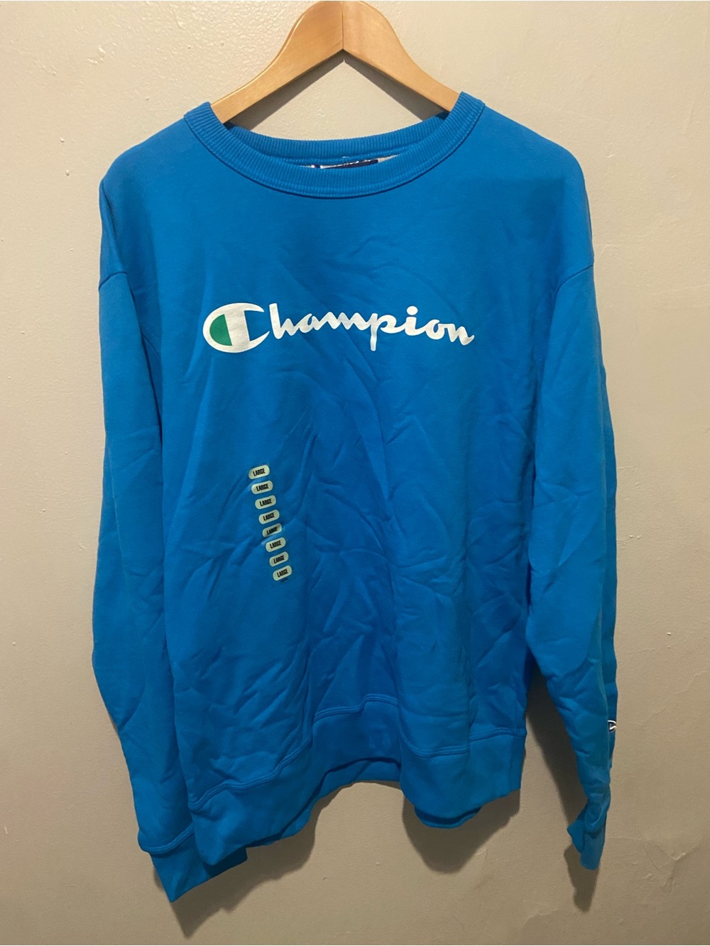 Champion Men’s Crewneck Sweatshirt in Teal Blue